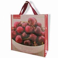 Pp Shopping Bag