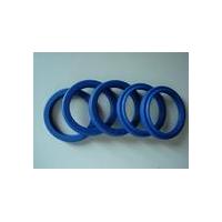 Framework Oil Seal