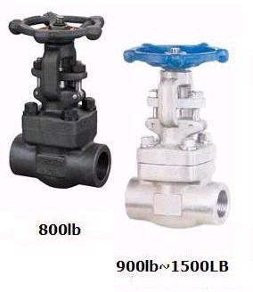 Baiji Forged Steel F22 Class 800 Gate Valve Butt Weld Bw