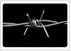 Barbed Iron Wire