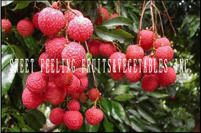 Fresh Lychee