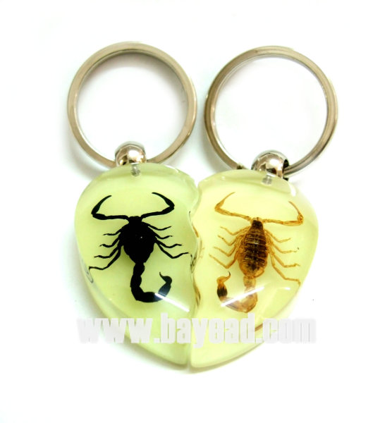 Real Insect Inside Amber Jewellery , Keychain, So Eye-catching