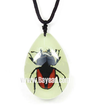 Sell Real Insect Inside Amber Jewellery, So Eye-catching