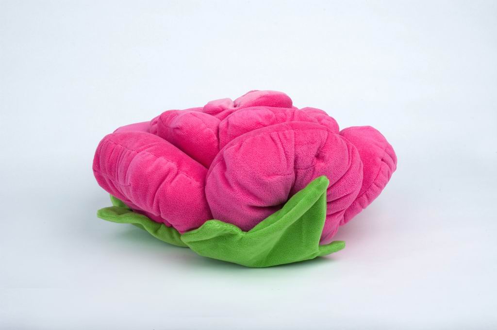 Red Flower Plush Back Cushion Loveable