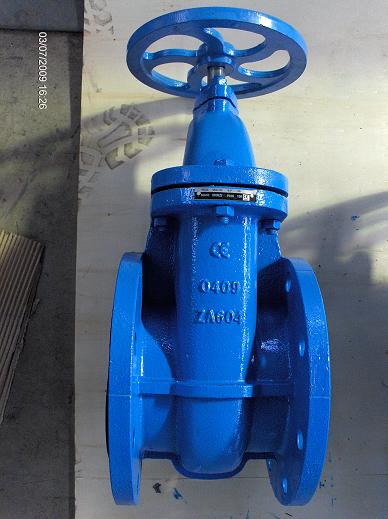 (din) Cast Iron Gate Valve (nrs)