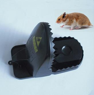 Mouse Trap