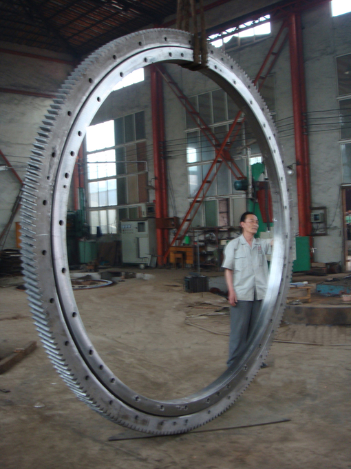 Slew Bearing