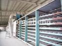 Gypsum Board Production Line