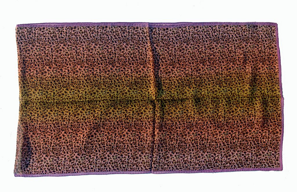 Hot Sale Silk Scarf（dsc04137）