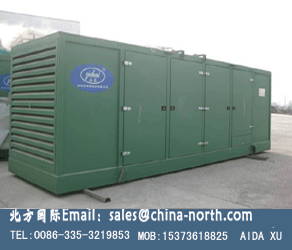 China Mtu Gas Engine/generator