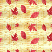 Bamboo Blind