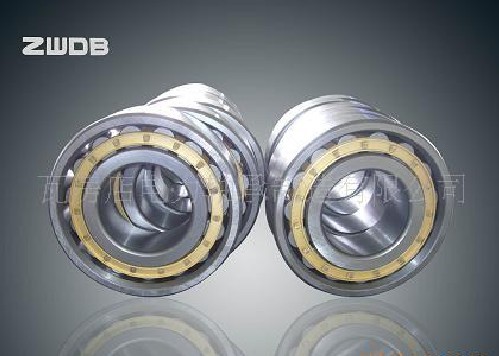 Cylindrical Roller Bearings