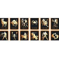 Anti Radiation Shield, Antiradiation Sticker, Anti-radiation Sticker, Anti Radiation Sticker, Anti R