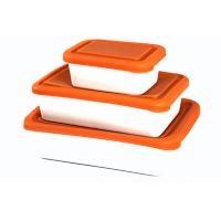 canister Bowl with Silicone cover