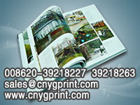 Bird Hard Cover Book With A Slip Box