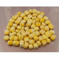 Sell Freeze Dried Sweet Corn