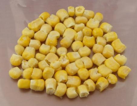 Sell Freeze Dried Sweet Corn