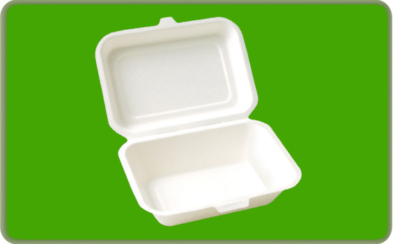 100%biodegradable Disposable Bagasse Tableware