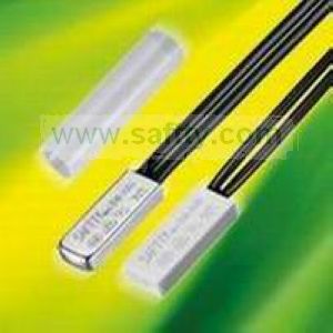 Bw Series Thermostat