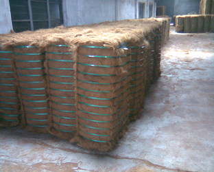 Coconut Fiber