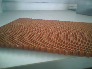 Paper Honeycomb Core