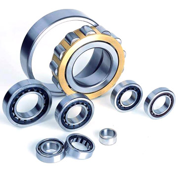 Single Row Cylindrical Roller Bearings