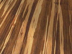 2010 Tiger Strand Woven Bamboo Flooring