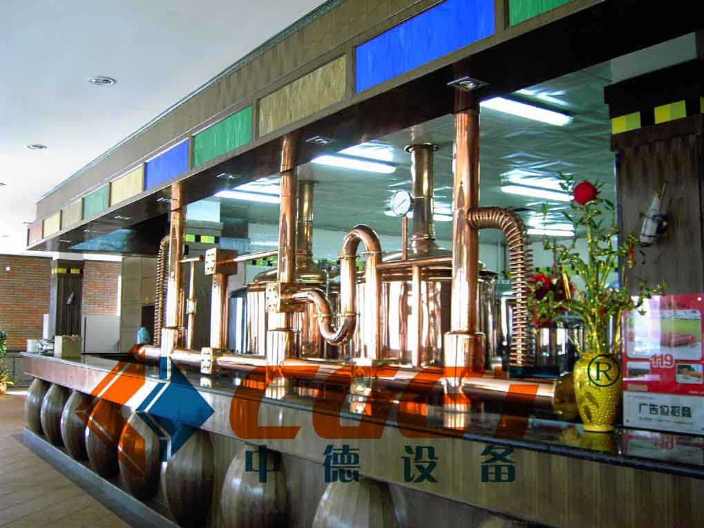 Hotel Brewing Beer Euipment