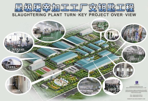 Slaughter Plant Turn Key Project