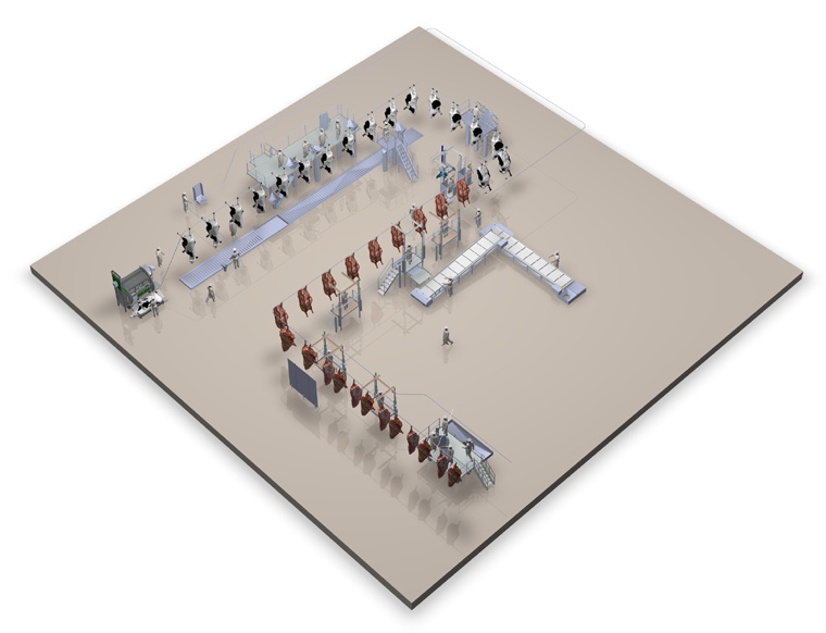 Cattle Slaughter Plant Workflow