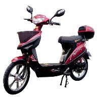 48v Electric Scooter