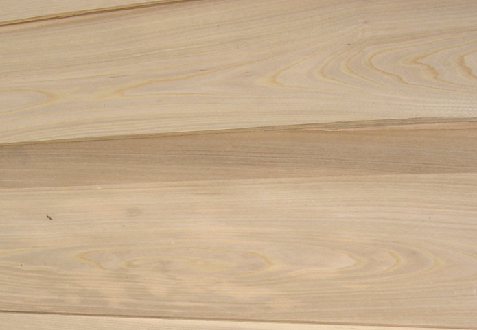 Sell Elm Veneer