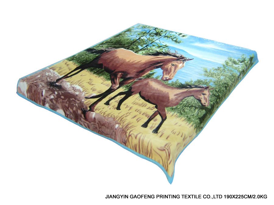 100% Polyester Blanket