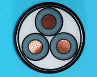 Xlpe Power Cable(cu Xlpe Sta Pvc)