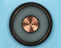 Xlpe Power Cable(cu Xlpe Pvc)