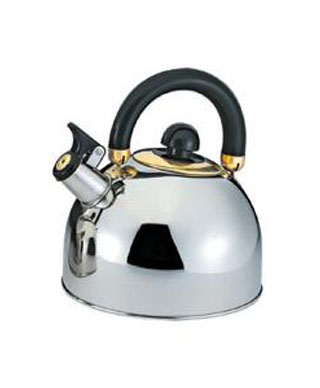 Stainless Steel Whistle Kettle