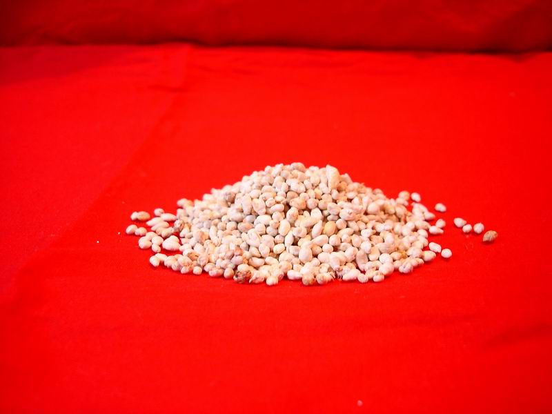 Carp Pituitary Extract