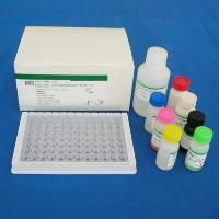 Dengue Igm Elisa Kit