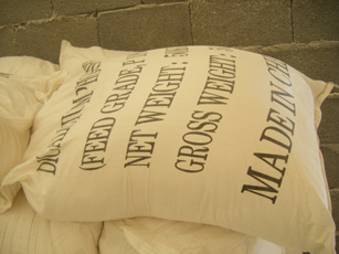 Dicalcium Phosphate Powder