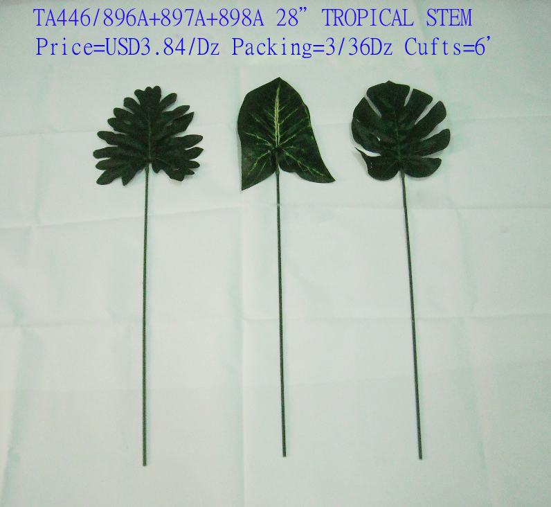 Tropical Leaf Stem