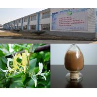 Eucommia Ulmoides Extarct