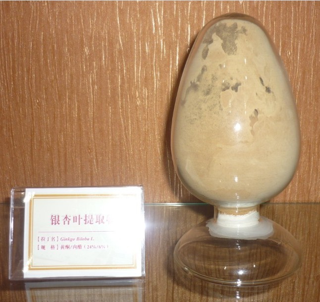 Ginkgo Biloba Leaf Extract 24% Total Ginkgo Flavone Glycosides