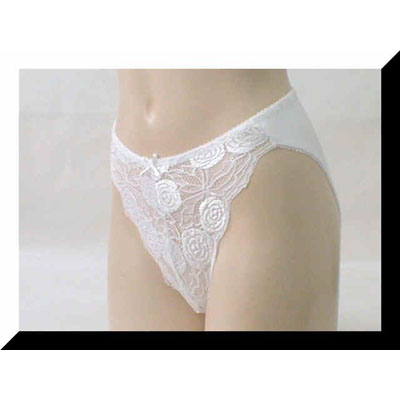 Ladies' 70% Nylon 30% Elastane Knitted Briefs
