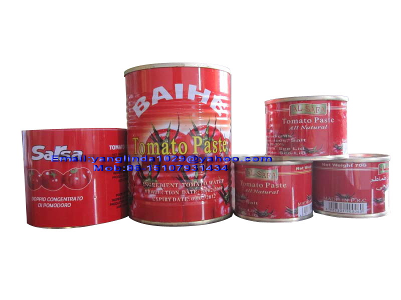 Supply Canned Tomato Paste