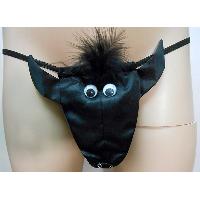 Animal Brief - Cow