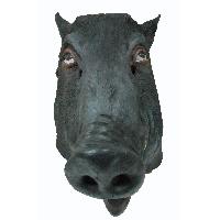 Animal mask ~ Boar