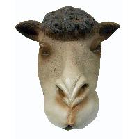 Animal mask ~ Camel