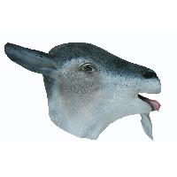 Animal Mask ~ Goat