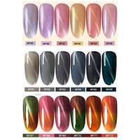 15ml Magnetic Cat Eye Gel Nail Polish