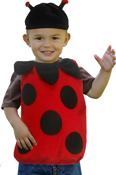Ladybird Dress Up for Toddler